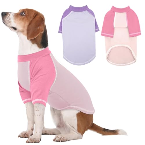 MORVIGIVE Hunde-Shirt mit Raglanärmeln, Größe XL, gemütlich, atmungsaktiv, für mittelgroße Hunde, Blau, Größe XL von MORVIGIVE