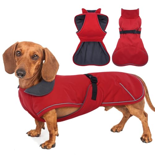 MORVIGIVE Hundemantel, perfekt für Dackel – Rot, Größe L, wasserdichter Wintermantel mit integriertem Geschirr, warme Weihnachtsbekleidung, Outdoor-Bekleidung, verstellbarer Schnallenverschluss von MORVIGIVE