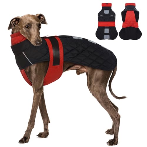MORVIGIVE Whippet Hundemantel – Rot, für kleine Hunde, Wintermantel mit verstellbaren Bändern, Hunde-Schneemantel für Windhunde, Wasserabweisende Hundejacke mit Loch für Geschirr MORVIGIVE Whippet Hundemantel – Rot, für kleine Hunde, Wintermantel mit verstellbaren Bändern, Hunde-Schneemantel für Windhunde, Wasserabweisende Hundejacke mit Loch für Geschirr von MORVIGIVE