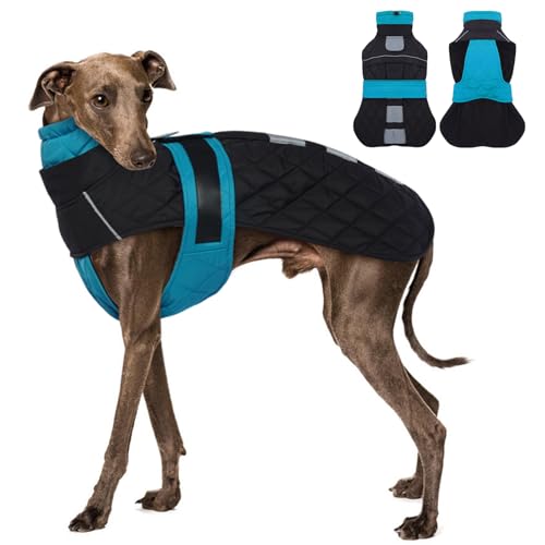 MORVIGIVE Whippet Hundemantel für kleine Hunde, Wintermantel mit verstellbaren Bändern, Hunde-Schneemantel für Windhunde, wasserabweisende Hundejacke mit Loch für Geschirr MORVIGIVE Whippet Hundemantel für kleine Hunde, Wintermantel mit verstellbaren Bändern, Hunde-Schneemantel für Windhunde, wasserabweisende Hundejacke mit Loch für Geschirr von MORVIGIVE