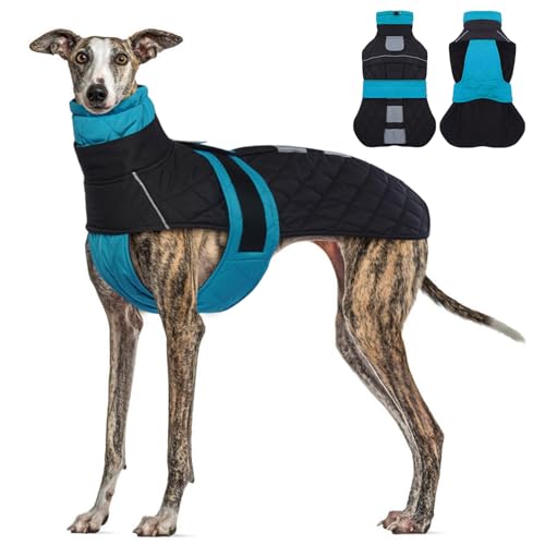 Wintermantel für Windhunde, Lurcher, Größe L, wasserdicht, mit reflektierendem Stab für Sicherheit, weiches, warmes Fleecefutter, verstellbare Bänder, Geschirrloch für Saluki Wintermantel für Windhunde, Lurcher, Größe L, wasserdicht, mit reflektierendem Stab für Sicherheit, weiches, warmes Fleecefutter, verstellbare Bänder, Geschirrloch für Saluki von MORVIGIVE