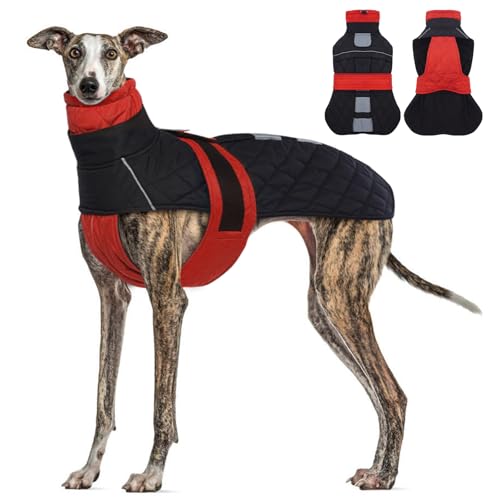 Wintermantel für Windhunde, Rot, Größe L, wasserdichter Hundemantel mit reflektierendem Stab für Sicherheit, weiches, warmes Fleecefutter, verstellbare Bänder, Geschirrloch für Saluki Wintermantel für Windhunde, Rot, Größe L, wasserdichter Hundemantel mit reflektierendem Stab für Sicherheit, weiches, warmes Fleecefutter, verstellbare Bänder, Geschirrloch für Saluki von MORVIGIVE