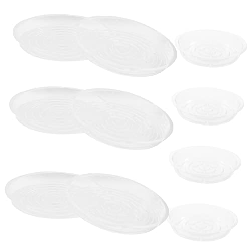 MOTHNUR 10 Stück Pflanzentablett, Kunststoff Blumentopftablett, Topf Drainagetablett, Kunststoff Pflanzgefäßtablett, Blumentopf Untertasse, Blumentopf Tropfschalen, Pflanzgefäßtabletts, MOTHNUR 10 Stück Pflanzentablett, Kunststoff Blumentopftablett, Topf Drainagetablett, Kunststoff Pflanzgefäßtablett, Blumentopf Untertasse, Blumentopf Tropfschalen, Pflanzgefäßtabletts, von MOTHNUR
