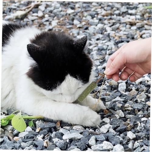 MOTHNUR 10 Stück Teiliges Natürliche Kausticks in Lutscherform Interaktives Katzenspielzeug für Katzen und Kätzchen Fördert Beschäftigung und Zahnpflege von MOTHNUR