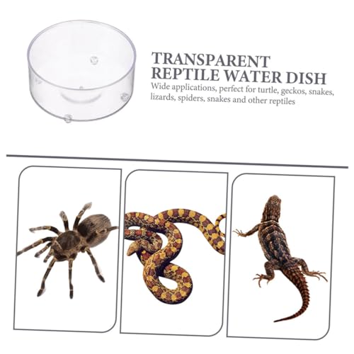 MOTHNUR 10 Stück Teiliges Reptilien futternapf Acryl Glatte Leicht zu Reinigende Wasserschalen und Futterbecken für Eidechsen Kornschlangen Skorpione und Kleine Reptilien Vielseitig von MOTHNUR