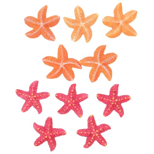 MOTHNUR 10 Stück Teiliges Resin Seesterne Aquarium Deko Lebensechte Lebensformen Umweltfreundlich und Langlebig Geeignet für Aquarien Reptilienboxen und Wohnraumdekoration MOTHNUR 10 Stück Teiliges Resin Seesterne Aquarium Deko Lebensechte Lebensformen Umweltfreundlich und Langlebig Geeignet für Aquarien Reptilienboxen und Wohnraumdekoration von MOTHNUR