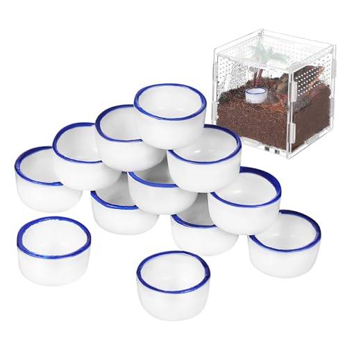 MOTHNUR 12 Stück Teiliges Mini Keramik wassernapf für Reptilien mit Stabilem Boden Geeignet als Trinkbehälter für Kleine Spinnen Skorpione und Terrarien Mini Dekoration für Puppenhäuser MOTHNUR 12 Stück Teiliges Mini Keramik wassernapf für Reptilien mit Stabilem Boden Geeignet als Trinkbehälter für Kleine Spinnen Skorpione und Terrarien Mini Dekoration für Puppenhäuser von MOTHNUR