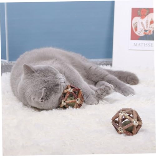 MOTHNUR 2 Stück Natürliche Katzenminze Kauspielzeug Mittlere Katzengerechtes Molaren Indoor kätzchen Zahnpflegend Stressreduzierend Fördert Verdauung und Interaktion von MOTHNUR