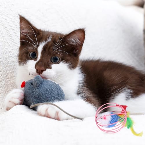 MOTHNUR 5 Stück Teiliges Katzenspielzeug Mausball Plüsch Interaktives Haustierspielzeug zur Beschäftigung Langlebig und Farblich Ansprechend Stimuliert Natürliche Zufällige Farbe von MOTHNUR