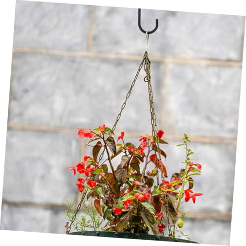 MOTHNUR 6Stücke Eisen Wandhaken für Garten und Balkon Dekorative Aufhängehaken für Pflanzen Laternen Windspiele und Vogelhäuschen Robust und Platzsparend von MOTHNUR