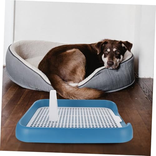 MOTHNUR Anti rutsch Mesh Hundetoilette aus Hochwertigem PP Atmungsaktiv und Langlebig Praktisches Indoor Welpenklo zur Stubenreinheit Geeignet für Kleine und Große Hunde Komfort und von MOTHNUR