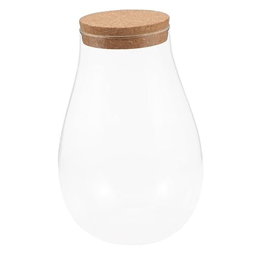 MOTHNUR Dekorativer Ökologischer Flaschenkultivator DIY Flasche für Mooslandschaften mit Korkverschluss für Pflanzen und Kreative Innendekoration von MOTHNUR