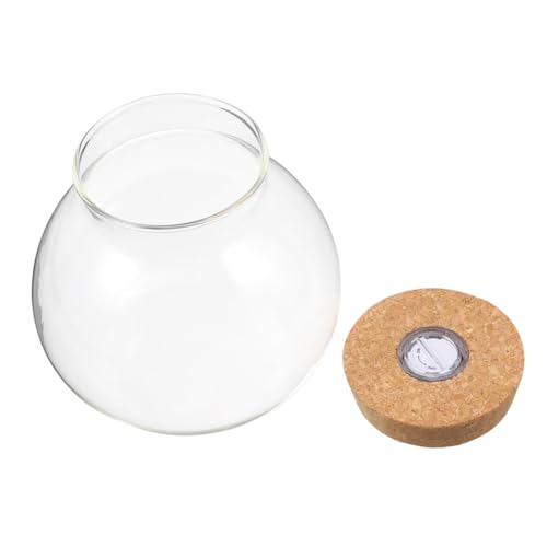 MOTHNUR Glas-Terrarium mit Korkverschluss und Led-licht Kleine Runde Klare Vase für Hydrokultur Desktop-pflanzenstation Mikroökologisches Glasgefäß für Büro Wohnraumdekoration von MOTHNUR
