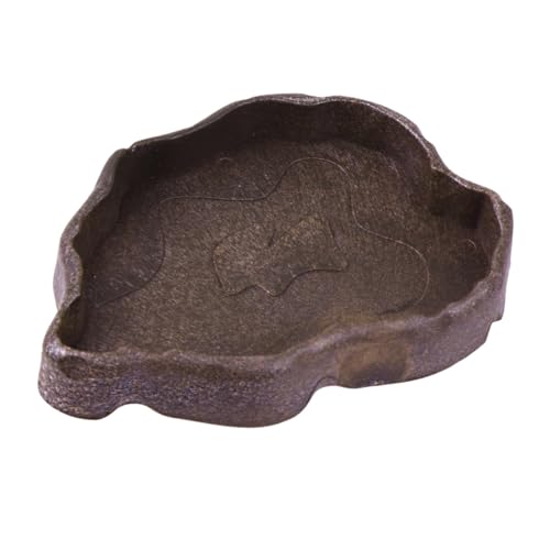 MOTHNUR Harzschale für Reptilien Futter und Wassernapf Kleine Terrarien Wasserschale für Echsen Schildkröten Frösche Kompakte Langlebige Futterschale in Kaffee S MOTHNUR Harzschale für Reptilien Futter und Wassernapf Kleine Terrarien Wasserschale für Echsen Schildkröten Frösche Kompakte Langlebige Futterschale in Kaffee S von MOTHNUR