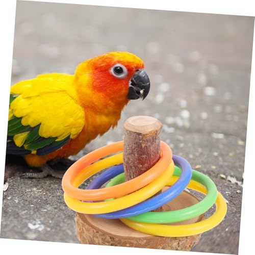 MOTHNUR Holz papageienspielzeug mit Bunten Ringen Interaktives Trainingsspielzeug für Wellensittiche und Papageien Fördert Beschäftigung Greiffähigkeit und Geistige Zufällige Farbe MOTHNUR Holz papageienspielzeug mit Bunten Ringen Interaktives Trainingsspielzeug für Wellensittiche und Papageien Fördert Beschäftigung Greiffähigkeit und Geistige Zufällige Farbe von MOTHNUR