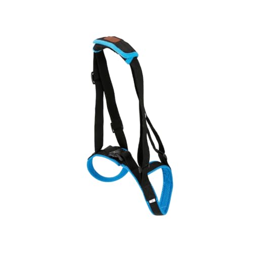 MOTHNUR Hundestützgeschirr für Hinterbeine Atmungsaktives Gepolstertes Pet Auxiliary Belt aus Air Mesh Ergonomisch rutschfest Unterstützung für Alte und Verletzte Hunde Beim von MOTHNUR