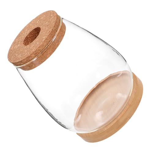 MOTHNUR Hydroponisches Glas Terrarium mit Deckel Mikrolandschaftliches DIY Pflanzengefäß Klarer Flaschengarten für Zimmerpflanzen Dekoratives Aufbewahrungsglas für Wohnzimmer und Küche MOTHNUR Hydroponisches Glas Terrarium mit Deckel Mikrolandschaftliches DIY Pflanzengefäß Klarer Flaschengarten für Zimmerpflanzen Dekoratives Aufbewahrungsglas für Wohnzimmer und Küche von MOTHNUR