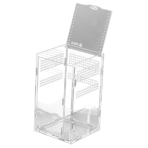 MOTHNUR Kleine Transparente Reptilien Aufbewahrungsbox aus Bruchsicherem Kunststoff Magnetisch Zusammenbaubar Vielseitig Geeignet für Eidechsen Spinnen Skorpione Frösche und Kleine von MOTHNUR