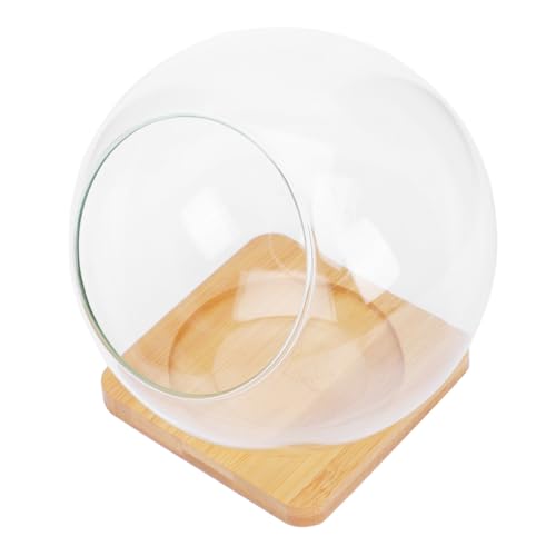 MOTHNUR Landschaftsflasche aus Hochwertigem Glas mit Schräger Öffnung Inklusive Bambusuntersetzer Transparenter Pflanzenhalter für Sukkulenten Terrarien und Dekoration im Wohn und MOTHNUR Landschaftsflasche aus Hochwertigem Glas mit Schräger Öffnung Inklusive Bambusuntersetzer Transparenter Pflanzenhalter für Sukkulenten Terrarien und Dekoration im Wohn und von MOTHNUR