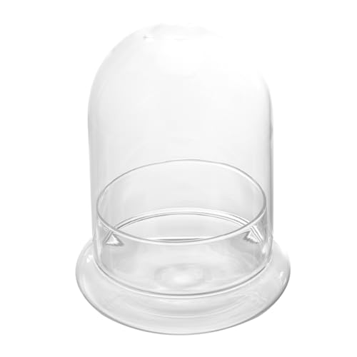 MOTHNUR Micro Landscape Glasflasche mit Basis Klare Ökologische Flasche Ornamente DIY Terrarium mit Belüftungsloch Langlebiges Dekoratives Pflanzgefäß für Zuhause und Garten MOTHNUR Micro Landscape Glasflasche mit Basis Klare Ökologische Flasche Ornamente DIY Terrarium mit Belüftungsloch Langlebiges Dekoratives Pflanzgefäß für Zuhause und Garten von MOTHNUR