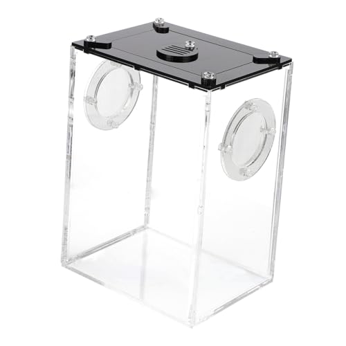MOTHNUR Multifunktionaler Reptilienkäfig Transparent Reptilienbox Für Schlangen Eidechsen Spinnen Und Kleine Tiere Langlebig Geruch Geeignet Für Terrarium Nutzung MOTHNUR Multifunktionaler Reptilienkäfig Transparent Reptilienbox Für Schlangen Eidechsen Spinnen Und Kleine Tiere Langlebig Geruch Geeignet Für Terrarium Nutzung von MOTHNUR