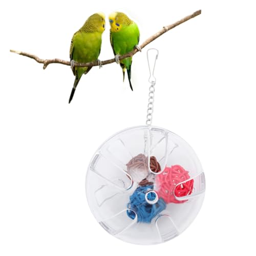 MOTHNUR Parrot Foraging Box aus Robustem Kunststoff Tragbarer Transparenter Vogelfutterspender Pädagogisches Futtersuchspielzeug für Mini Nymphensittiche und Kleine Farbe von MOTHNUR