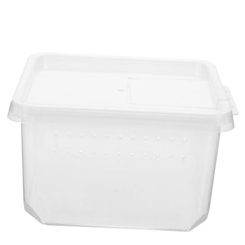 MOTHNUR Reptilien Fütterungsbox Langlebig mit Belüftungslöchern Stabile Zuchtbox für Spinnen Geckos Frösche Kleintiere Transparentes Terrarium für Reptilien und Kriechtiere Leicht und MOTHNUR Reptilien Fütterungsbox Langlebig mit Belüftungslöchern Stabile Zuchtbox für Spinnen Geckos Frösche Kleintiere Transparentes Terrarium für Reptilien und Kriechtiere Leicht und von MOTHNUR