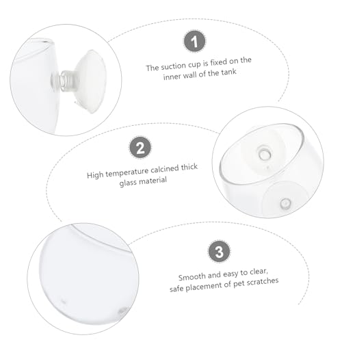 MOTHNUR Reptilien Futternapf aus Glas mit Saugnapf Langlebiger Futter Wassernapf für Echsen und Geckos Platzsparend und Sicher für Terrarien Geeignet für Tägliche Fütterung von Reptilien MOTHNUR Reptilien Futternapf aus Glas mit Saugnapf Langlebiger Futter Wassernapf für Echsen und Geckos Platzsparend und Sicher für Terrarien Geeignet für Tägliche Fütterung von Reptilien von MOTHNUR