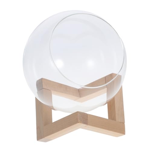 MOTHNUR Rundes Glas Display Terrarium mit Holzständer Transparentes Pflanzgefäß für Hydroponische Pflanzen Mikrolandschaft Glasflasche mit Schräger Öffnung für Wohn Bürodekoration MOTHNUR Rundes Glas Display Terrarium mit Holzständer Transparentes Pflanzgefäß für Hydroponische Pflanzen Mikrolandschaft Glasflasche mit Schräger Öffnung für Wohn Bürodekoration von MOTHNUR