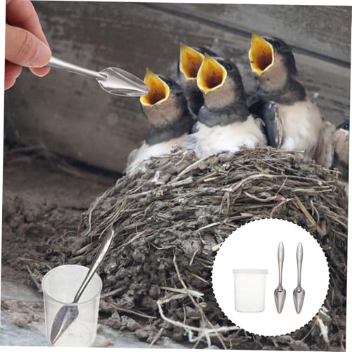 MOTHNUR Teiliges Papageien Futterlöffel mit Professionellen Fütterungslöffeln und Messbecher Langlebig und Verschleißfest Geeignet für Große bis Kleine Papageien Wellensittiche und Andere von MOTHNUR