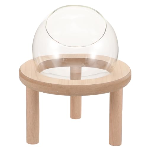 MOTHNUR Transparente Hamster Sandbad Badewanne mit Holzboden Kleintier Sandbad Box für Meerschweinchen Maus und Kleine Haustiere Multifunktional als Toilette und Badehaus MOTHNUR Transparente Hamster Sandbad Badewanne mit Holzboden Kleintier Sandbad Box für Meerschweinchen Maus und Kleine Haustiere Multifunktional als Toilette und Badehaus von MOTHNUR