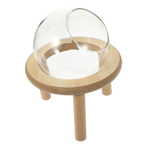 MOTHNUR Transparentes Hamster sandbad mit Rutschfestem Gestell Glatten Kanten Langlebig für Hamster und Kleine Haustiere Hygienisches Badezimmer Zubehör für Hamsterkäfig von MOTHNUR