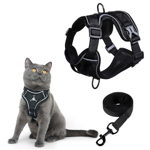 MOTIBACK Katzengeschirr mit Leine, Ausbruchsicheres Katzenhalsband mit Verstellbarem Geschirr und Leine, Atmungsaktives Katzengeschirr mit Reflektierenden Streifen für Einfache Kontroll (S) von MOTIBACK