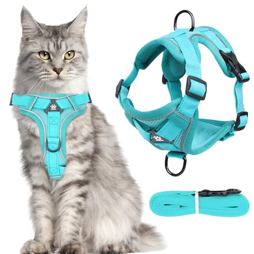 MOTIBACK Katzengeschirr mit Leine Ausbruchsicher, Adjustables Katzengeschirr mit Reflektierenden Streifen und Leine, Weiches Mesh-Geschirr für Kleine und Mittelgroße Katzen (L) von MOTIBACK
