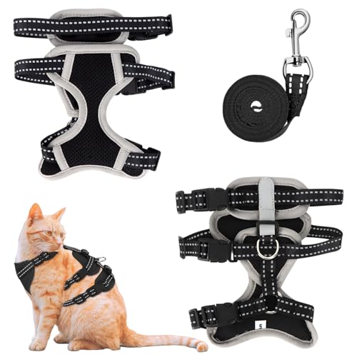 MOTIBACK Katzengeschirr mit Leine Ausbruchsicher, Metallring, Leichtes Weiches Reflektierendes Verstellbares Geschirr für Kleine Katzen zum Spazieren und Reisen. (M) von MOTIBACK