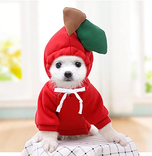 MOTT Welpen-Kapuzenmantel für Hunde und Katzen, niedliches Kostüm für kleine Hunde, Welpen, Katzen, Halloween, Weihnachten, Cosplay, entzückendes Weihnachts-Kostüm von MOTT