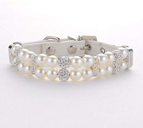 Halsband für Hunde,Hundehalsband mit Perle,Hunde-Katzen-Mode-PU-Leder-Perlenhalsband mit Bling-Strass-Diamant,Verstellbares Chihuahua-Hundehalsband für Hunde,Katzen,Welpen,Kätzchen,M,1.5X33cm Halsband für Hunde,Hundehalsband mit Perle,Hunde-Katzen-Mode-PU-Leder-Perlenhalsband mit Bling-Strass-Diamant,Verstellbares Chihuahua-Hundehalsband für Hunde,Katzen,Welpen,Kätzchen,M,1.5X33cm von MOTTDAM