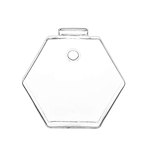 Glas-Terrarien, Pflanzgefäß, Anzuchtstation für Hydrokulturpflanzen, Heimbüro, Wohnzimmer, Dekoration, Form, Glaspflanzentöpfe, Blumenvase, Luftpflanze, Ter, 4 Stück Glas-Terrarien, Pflanzgefäß, Anzuchtstation für Hydrokulturpflanzen, Heimbüro, Wohnzimmer, Dekoration, Form, Glaspflanzentöpfe, Blumenvase, Luftpflanze, Ter, 4 Stück von MOTUZP