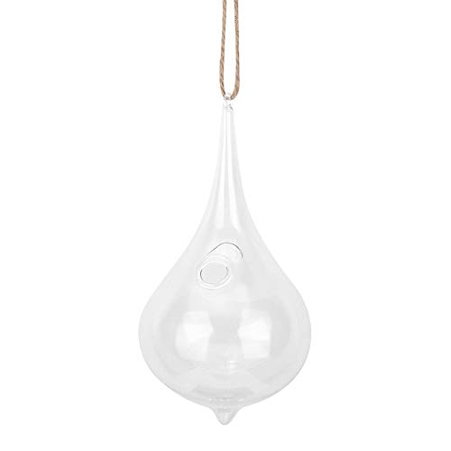 Wandbehang Glas Wand Pflanzgefäß Terrarium Set Luftpflanzen Terrarium Blumen Vase Anzuchtstationen für Innen Küche Haus Garten Dekor Klar Teardrop Form Pflanzenhalter Sukkulenten Plan von MOTUZP