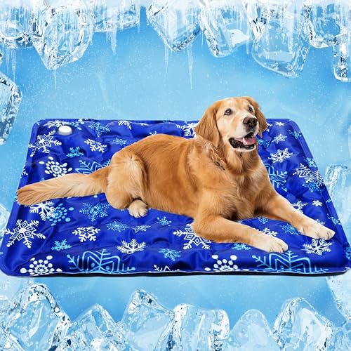MOTZABO Kühlmatte für Hunde, für drinnen und draußen, Sommer, wasserdicht, Kühlkissen für Kiste, Zwinger, Bett, geeignet für kleine, mittelgroße und große Hunde, Katzen, Welpen, Kätzchen (58,4 x 88,9 MOTZABO Kühlmatte für Hunde, für drinnen und draußen, Sommer, wasserdicht, Kühlkissen für Kiste, Zwinger, Bett, geeignet für kleine, mittelgroße und große Hunde, Katzen, Welpen, Kätzchen (58,4 x 88,9 von MOTZABO