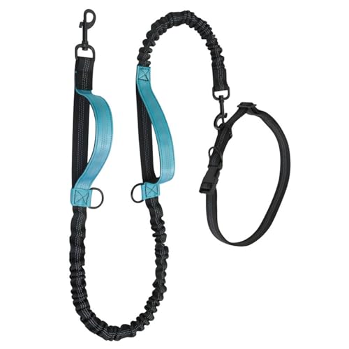 Einziehbare Hundeleine für mittelgroße und große Hunde, reflektierende Nähte, Spazierengehen, Joggen, Laufen Einziehbare Hundeleine für mittelgroße und große Hunde, reflektierende Nähte, Spazierengehen, Joggen, Laufen von MOUDOAUER