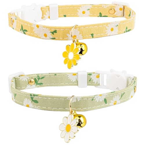 2-teiliges Katzenhalsband, verstellbares süßes Kätzchenhalsband mit Glöckchen & Sicherheitsschnalle & Blumendekor, geeignet für Mädchen und Jungen, Katzenhalsband, abtrennbares Kätzchenhalsband m 2-teiliges Katzenhalsband, verstellbares süßes Kätzchenhalsband mit Glöckchen & Sicherheitsschnalle & Blumendekor, geeignet für Mädchen und Jungen, Katzenhalsband, abtrennbares Kätzchenhalsband m von MOUNTTU