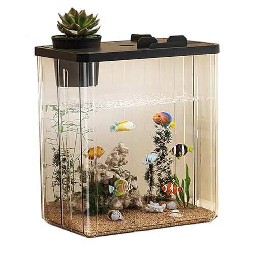 Aquarium, 9 x 6 x 10 Zoll, hochtransparentes Desktop-Aquarium, Abnehmbarer Deckel mit Blumentopf und Telefonhalter für die Tischdekoration im Homeoffice, Desktop-, Betta-Fischtank Aquarium, 9 x 6 x 10 Zoll, hochtransparentes Desktop-Aquarium, Abnehmbarer Deckel mit Blumentopf und Telefonhalter für die Tischdekoration im Homeoffice, Desktop-, Betta-Fischtank von MOUNTTU