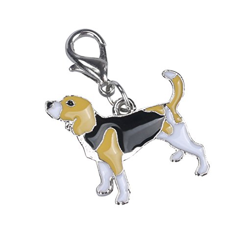 ID Dog Pet Emaille Halskette Zubehör Disk Tag Halsband Anhänger Disc Pet Halsbänder Hundehalsband Breit Leder von MOVAWAKY