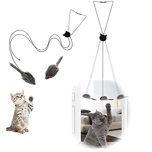 A-Door Enabled Cat Toy, Teaser and Exercise Device for Cat Door Hanging Pet Toy Living Room Pet Cat Mouse von MOVKZACV