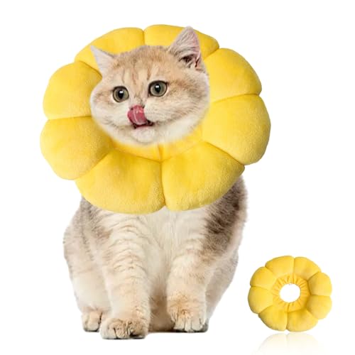 Halskrause Katze, Einstellbarer Halskrause Katze Halsband für Katzen Kleiner, Weich Halskrausen für Katzen, Sonnenblume Katzen Halskrause für Hunde Welpen Kätzchen, Nach der Operation Schutzkragen Halskrause Katze, Einstellbarer Halskrause Katze Halsband für Katzen Kleiner, Weich Halskrausen für Katzen, Sonnenblume Katzen Halskrause für Hunde Welpen Kätzchen, Nach der Operation Schutzkragen von MOVKZACV