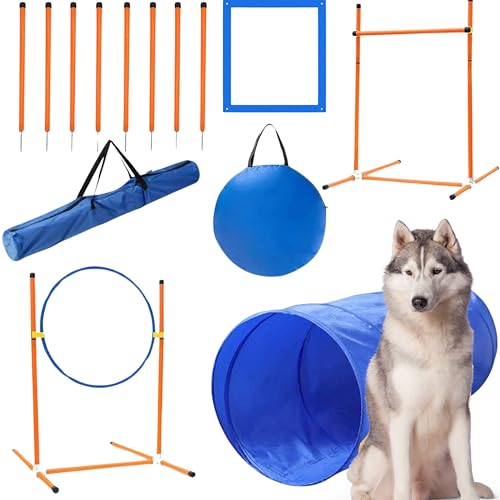 MOWAYSERS Agility-Ausrüstung für Hunde, Hunde-Agility-Set für Große: Interaktives Trainings-Spielzeug für Hunde mit Kleinen Hunden, Hundeparcours-Set für Hunde, Agylityset von MOWAYSERS