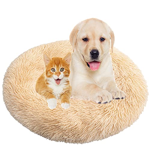 Hundebett, Rund Plüsch Haustierbett Flauschig Waschbares Katzenbett mit Reißverschluss Warme Donut Hundekissen für Haustiere- Apricot|| Ø 110cm/44in von MOZTBH