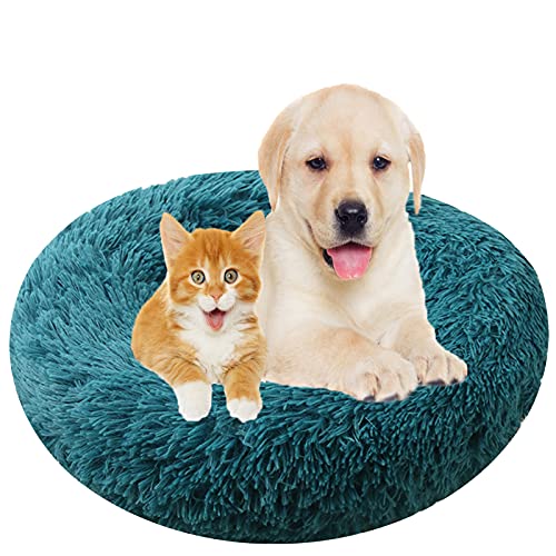 Hundebett, Rund Plüsch Haustierbett Flauschig Waschbares Katzenbett mit Reißverschluss Warme Donut Hundekissen für Haustiere- Cyan|| Ø 100cm/40in von MOZTBH