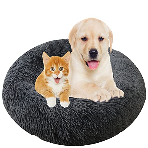 Hundebett, Rund Plüsch Haustierbett Flauschig Waschbares Katzenbett mit Reißverschluss Warme Donut Hundekissen für Haustiere- Dark Gray|| Ø 100cm/40in von MOZTBH